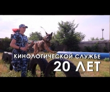 Кинологической службе 20 лет