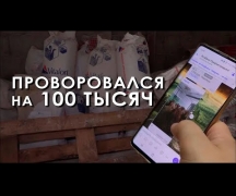 Проворовался на 100 тысяч