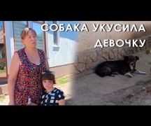 Собака укусила девочку