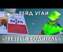 Рейд УГАИ. «Трезвый водитель»,