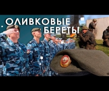 Оливковые береты