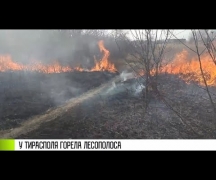 У Тирасполя за Днестром горел лес