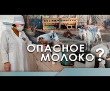 Опасное молоко?